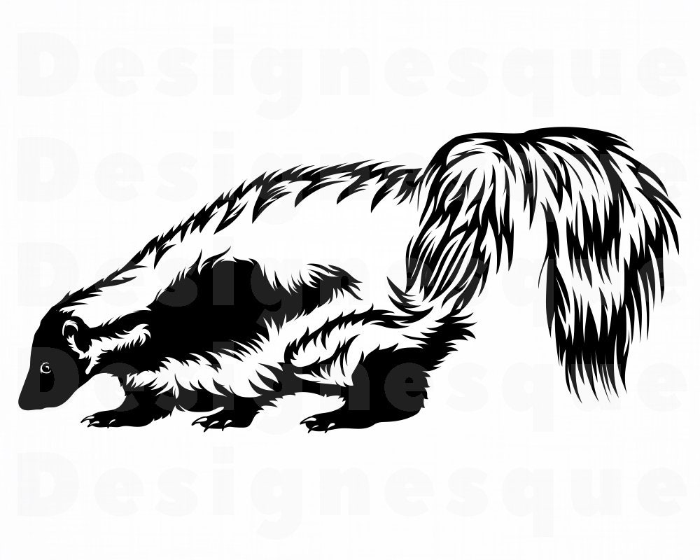 Skunk 4 SVG Skunk SVG Skunk Clipart Skunk Files for | Etsy
