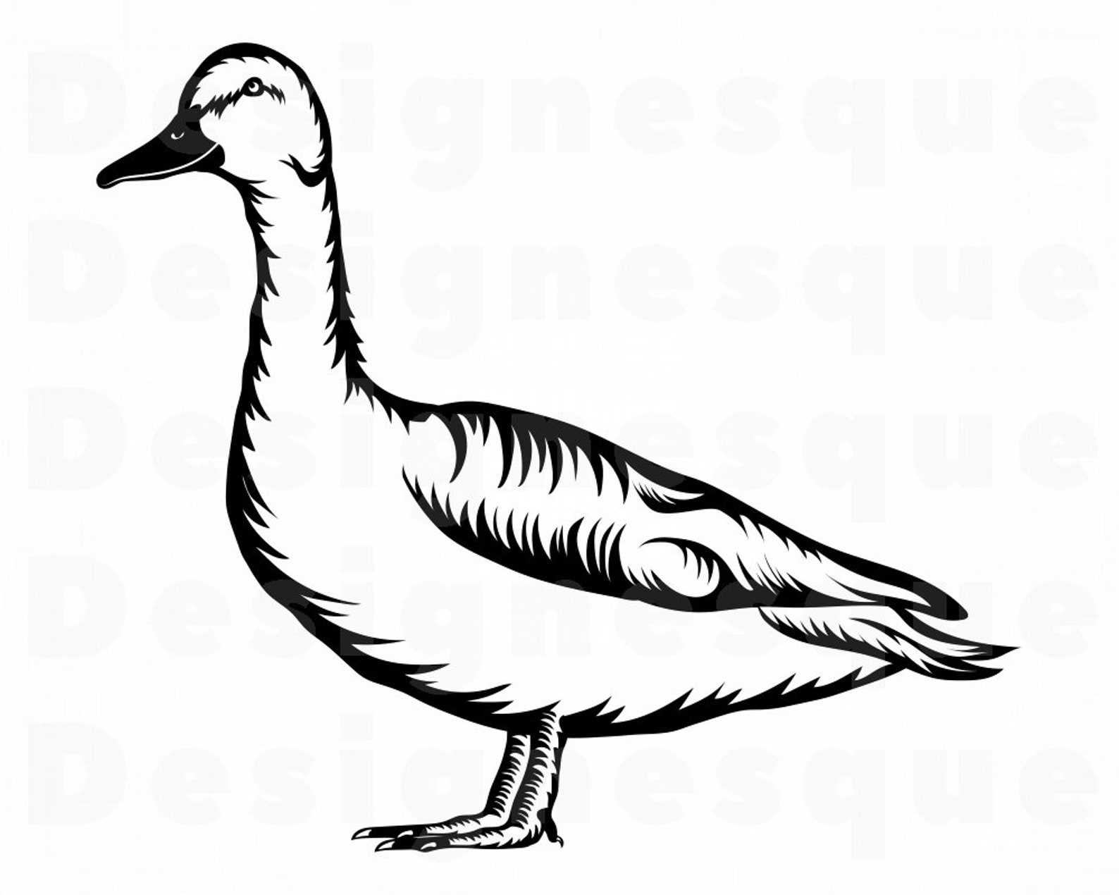 Mallard Duck SVG Wild Duck SVG Mallard SVG Duck Clipart | Etsy
