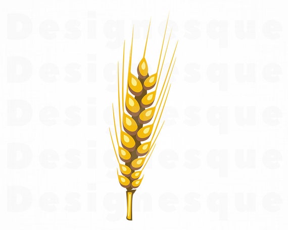 Weizen Svg Korn Svg Weizen Clipart Weizen Dateien Fur Die Etsy