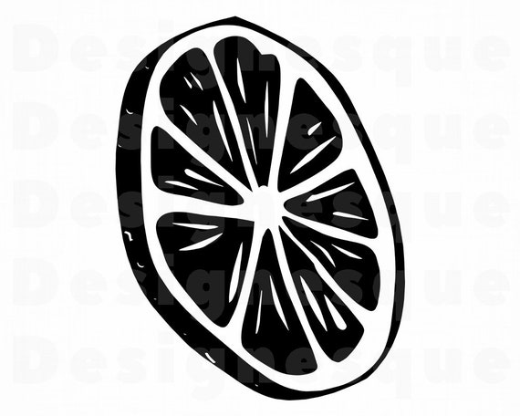 Zitronenscheibe Svg Orangenscheibe Lime Svg Zitrus Svg Etsy