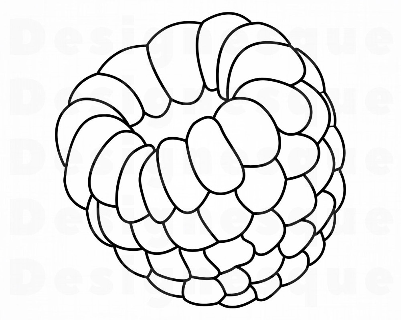 Raspberry Outline SVG Raspberry SVG Fruit Svg Raspberry Etsy