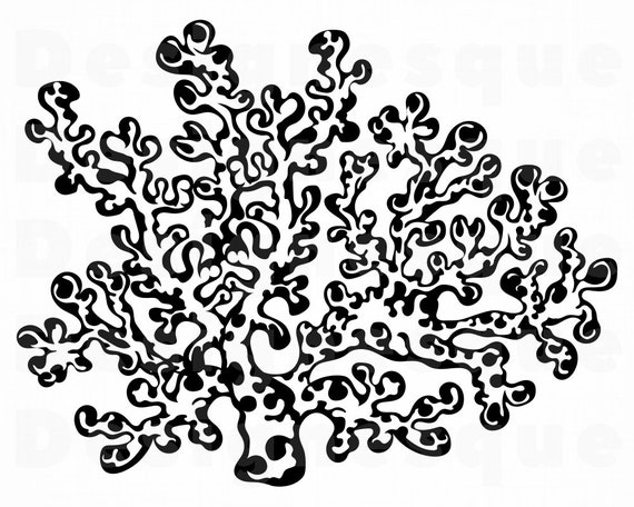 Coral Svg Coral Reef Svg Ocean Svg Tropical Svg Coral Reef | Etsy Hong Kong