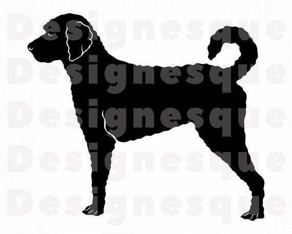 Labradoodle Svg Dog Svg Labradoodle Clipart Labradoodle Files For Cricut Labradoodle Cut Files For Silhouette Dxf