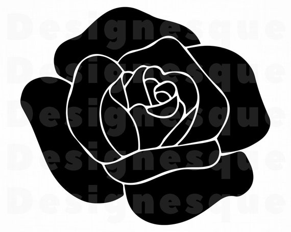 Featured image of post Rosa Negra Png Mais um post cheio de alegria e emo o mais uma etapa da marca negra rosa conclu da