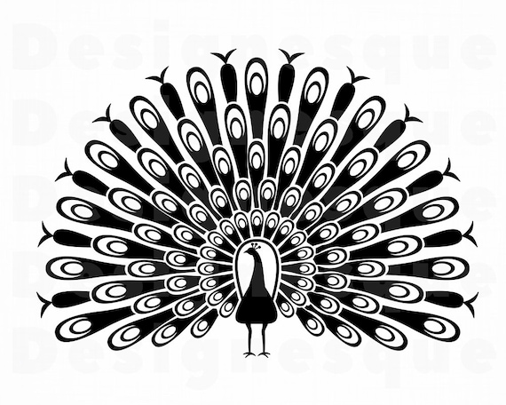 Peacock 3 Svg Peacock Svg Peafowl Svg Peacock Clipart Etsy
