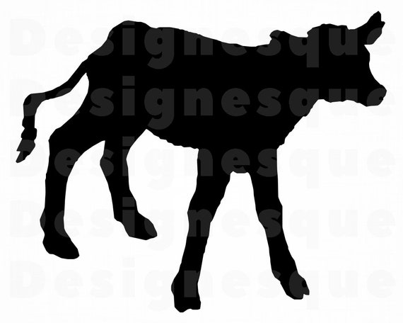 Download Baby Cow Clipart Calf Svg