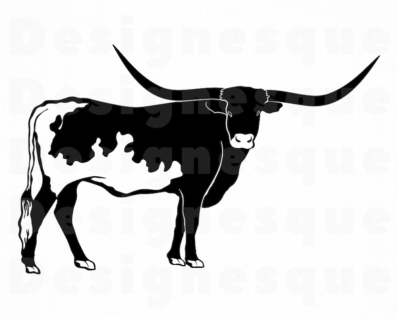 Texas Longhorn SVG Cattle Svg Texas Longhorn Clipart Texas image 0.