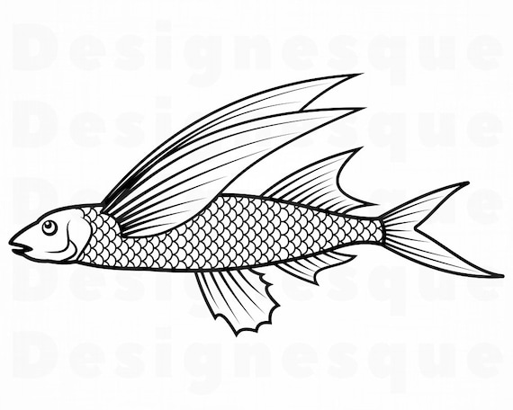 Download Flying Fish Svg Exocoetidae Svg Fishing Svg Fish Svg Etsy