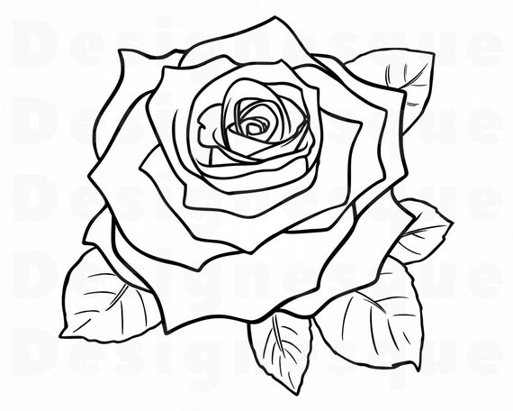 Download Rose Outline SVG Flower Outline SVG Rose Outline Clipart ...