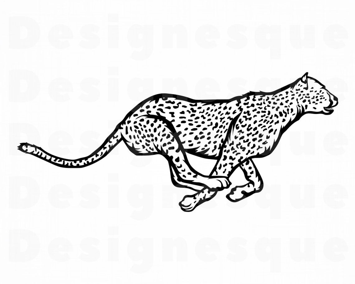cheetah tevas