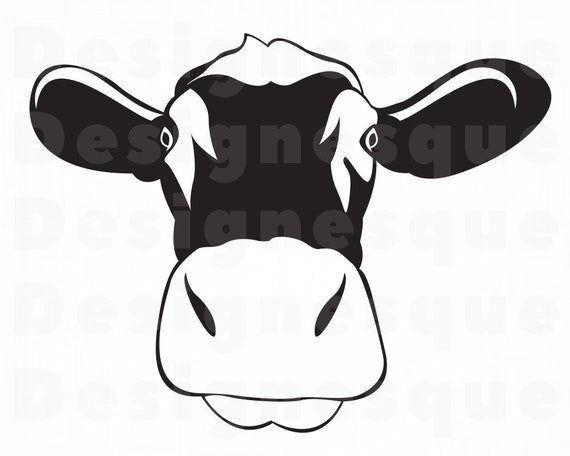 Download Heifer Svg Cow Svg Cow Head Svg Cattle Svg Cow Clipart Cow Files For Cricut Cow Cut Files For Silhouette Cow Dxf Cow Png Eps Vector