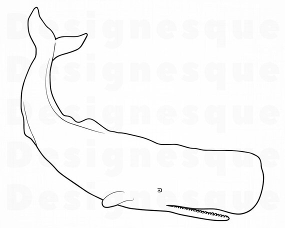 whale outline 4 svg whale svg ocean creatures whale etsy whale outline 4 svg whale svg ocean creatures whale clipart whale files for cricut whale cut files for silhouette whale dxf png eps
