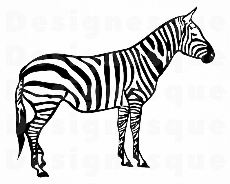 Download Zebra 6 SVG Zebra SVG Zebra Clipart Zebra Files for | Etsy