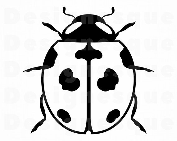 Download Ladybug 3 Svg Ladybug Svg Ladybug Clipart Ladybug Files Etsy