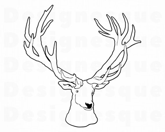 Deer Outline 2 Svg Deer Head Svg Buck Head Svg Deer Mascot Etsy