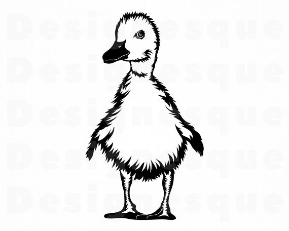 Download Baby Duck Svg Duckling Svg Duck Svg Baby Duck Clipart Baby Etsy PSD Mockup Templates