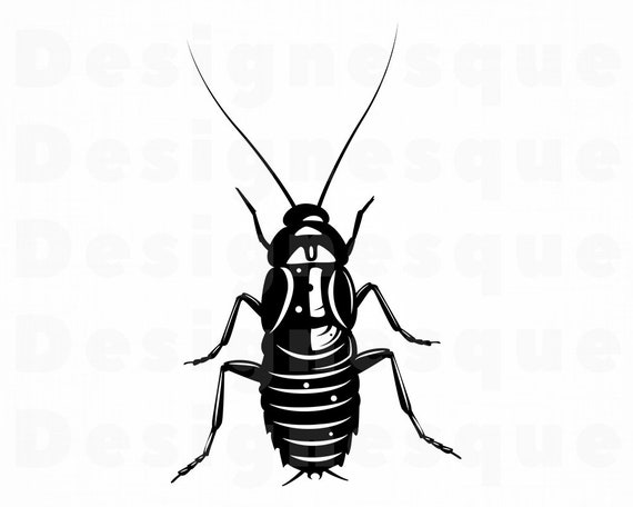 Featured image of post Cockroach Clipart Black And White Here you can find the black white of cockroaches clipart image