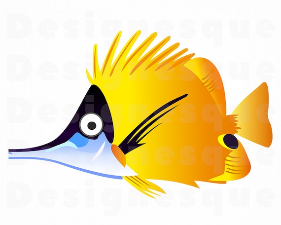 Download Tropical Fish Svg Fish Svg Sea Svg Ocean Svg Tropical Fish Etsy