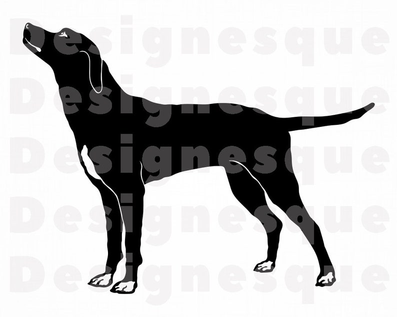 Free Free 202 Mountain Dog Svg SVG PNG EPS DXF File