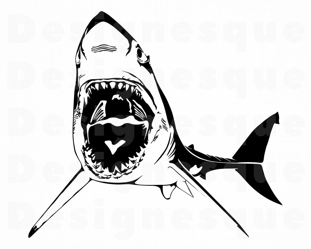 Free Free 277 Shark Svg Silhouette SVG PNG EPS DXF File