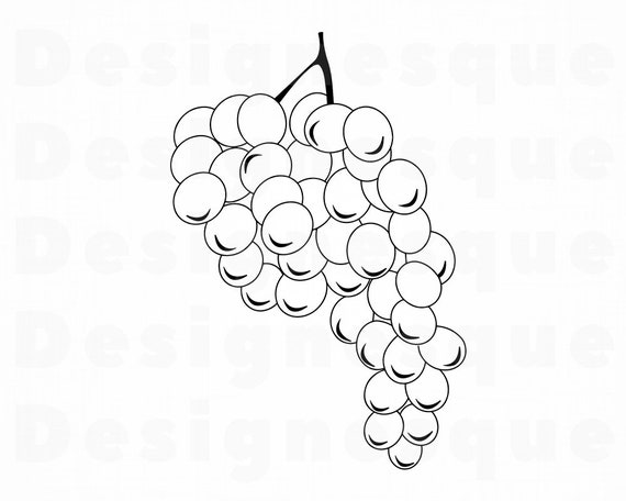 Download Grape Outline 3 Svg Grape Svg Grape Clipart Grape Files Etsy