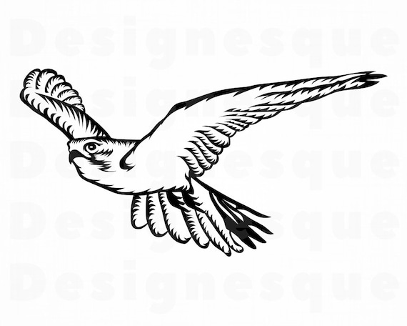 Flying Falcon Svg Falcon Svg Hunting Svg Falcon Clipart Falcon Files For Cricut Falcon Cut Files For Silhouette Dxf Png Eps Vector