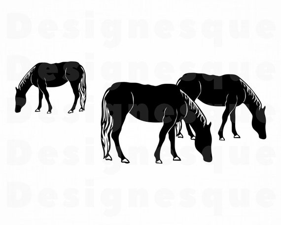 Grazing Horses 2 Svg Horse Svg Horses Svg Horses Clipart Etsy
