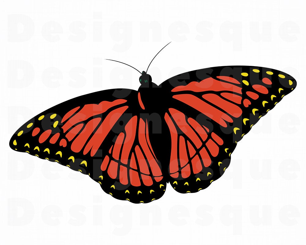Download Red Monarch Butterfly Svg Butterfly Svg Butterfly Clipart Butterfly Files For Cricut Cut Files For Silhouette Dxf Png Eps Vector