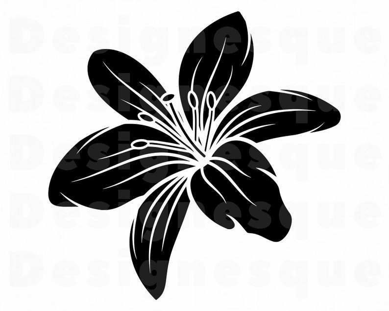 Free SVG Flower Svg 5273+ File for Silhouette