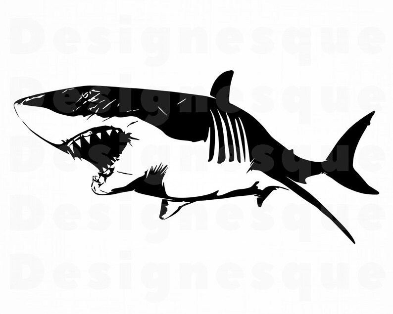 Download Great White Shark 7 SVG Shark Svg Shark Clipart Shark | Etsy