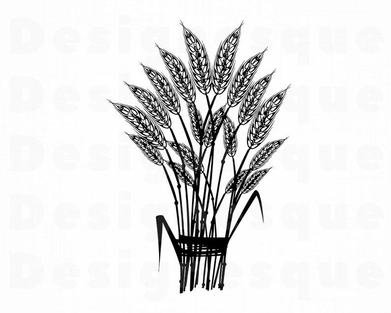 Download Wheat 5 SVG Wheat Svg Grain Svg Wheat Clipart Wheat Files | Etsy