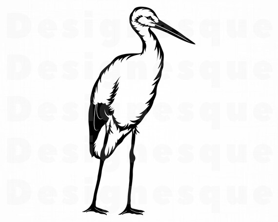 Pdf Dxf Flying Stork Png Bird Svg Flying Stork Files For Cricut Eps Flying Stork Svg Flying Stork Clipart Flying Stork Cut Files