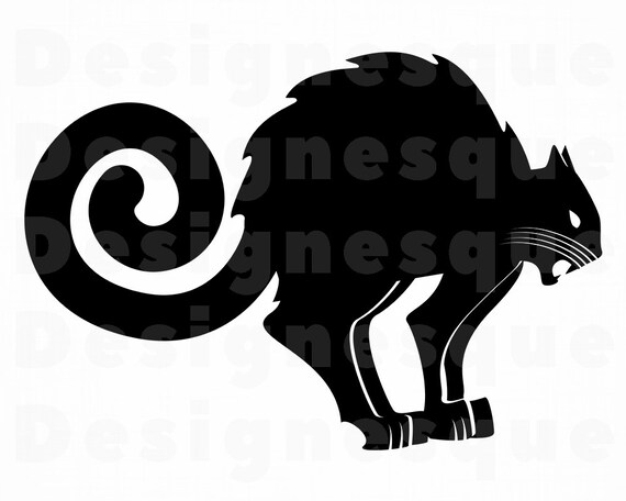 Illussion: Logo Angry Cat