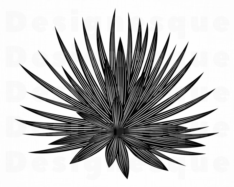 Agave Plant SVG Agave Plant Clipart Agave Plant Files for | Etsy