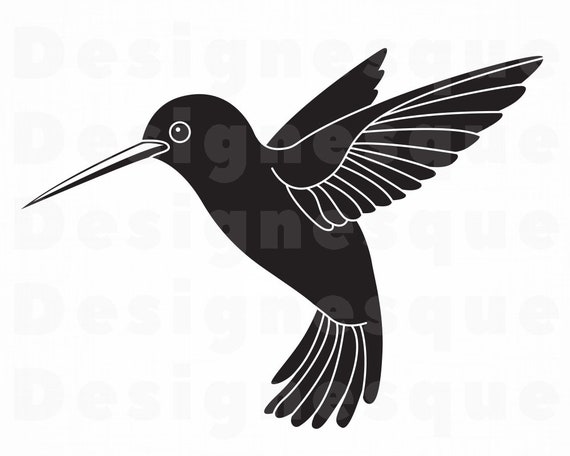 Free Free 340 Free Svg Hummingbird SVG PNG EPS DXF File