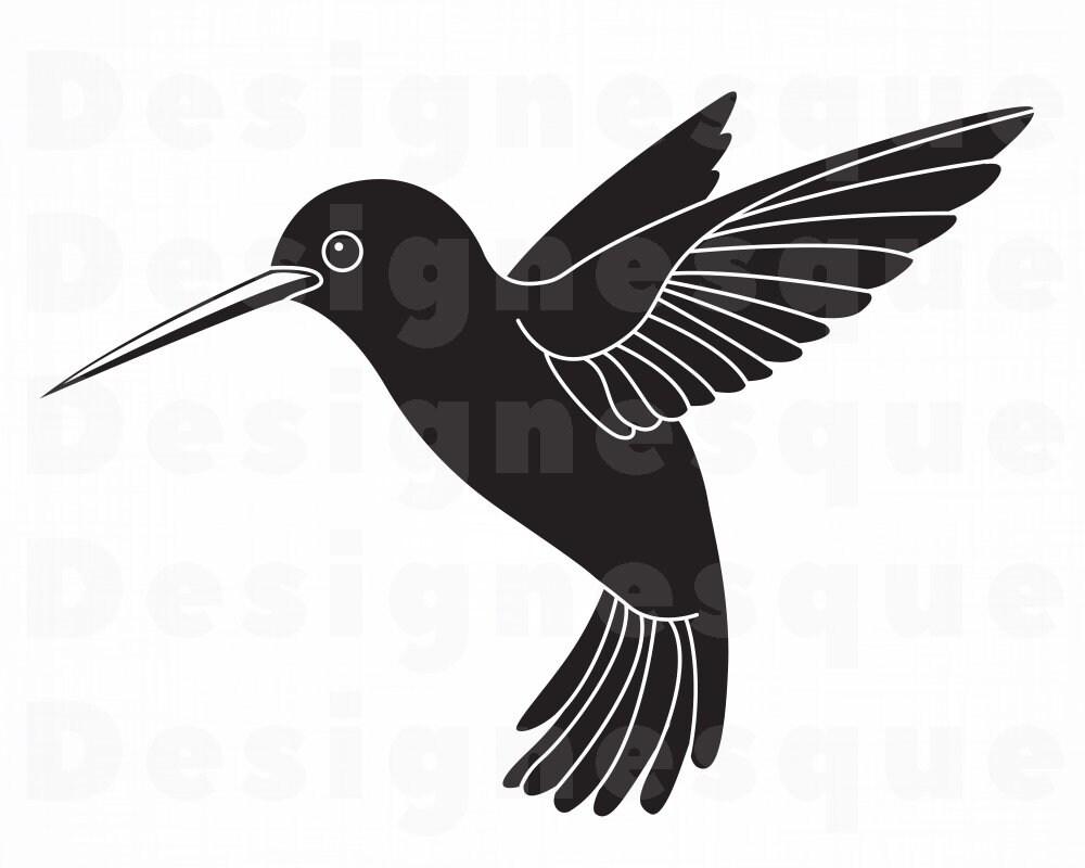 Free Free 121 Hummingbird Svg Free Download SVG PNG EPS DXF File