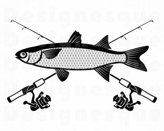 Download Mullet Fishing Svg Fishing Logo Svg Fish Svg Fishing Clipart Fishing Files For Cricut Cut Files For Silhouette Dxf Png Eps Vector