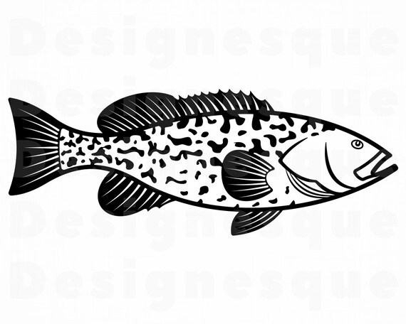 Download Grouper Fish Svg Fishing Svg Fish Svg Fishing Clipart Etsy