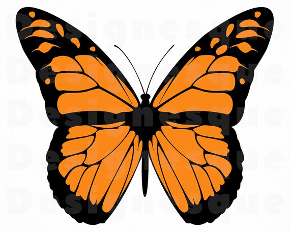 Free Free 70 Silhouette Monarch Butterfly Svg SVG PNG EPS DXF File