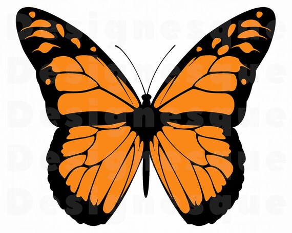 Free Free 331 Silhouette Monarch Butterfly Svg SVG PNG EPS DXF File