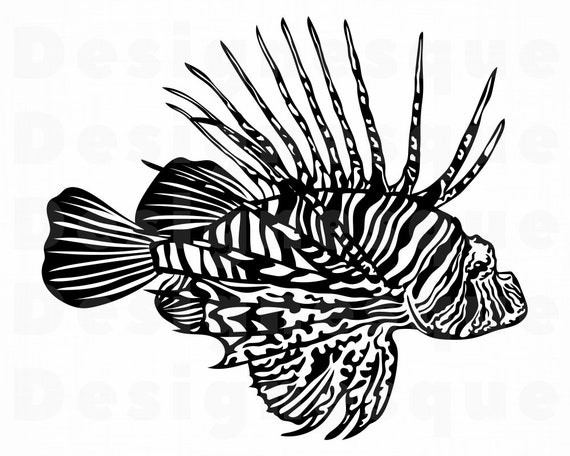 Download Red Lionfish SVG Tropical Fish Svg Tropical Fish Clipart ...