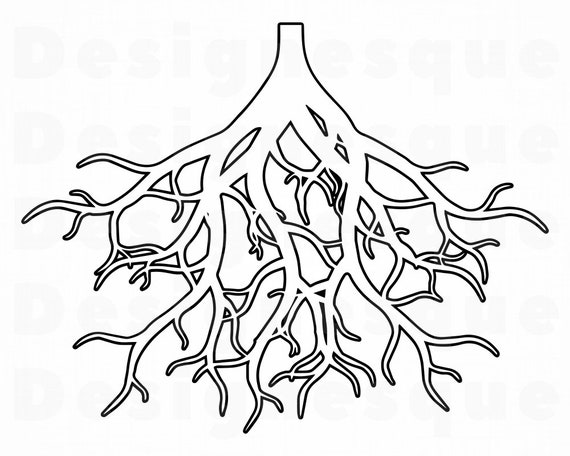 Dxf Roots #2 SVG Png Roots Clipart Roots Files for Cricut Tree Roots