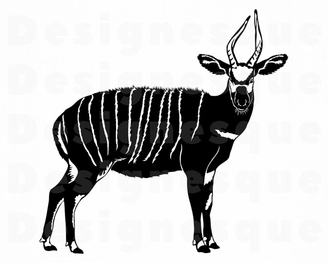 Bongo SVG Antelope Svg Safari Svg Bongo Clipart Bongo Etsy