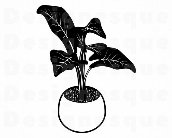 Featured image of post Silhouette House Plant Clipart Affordable and search from millions of royalty free images photos and vectors