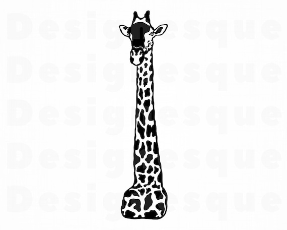 Download Giraffe Head Svg Giraffe Mascot Svg Giraffe Clipart Giraffe Files For Cricut Giraffe Cut Files For Silhouette Dxf Png Eps Vector