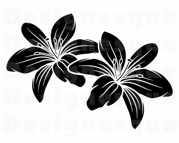 Download Lily Flowers SVG Lily Flower Svg Lily SVG Flower Svg Lily ...