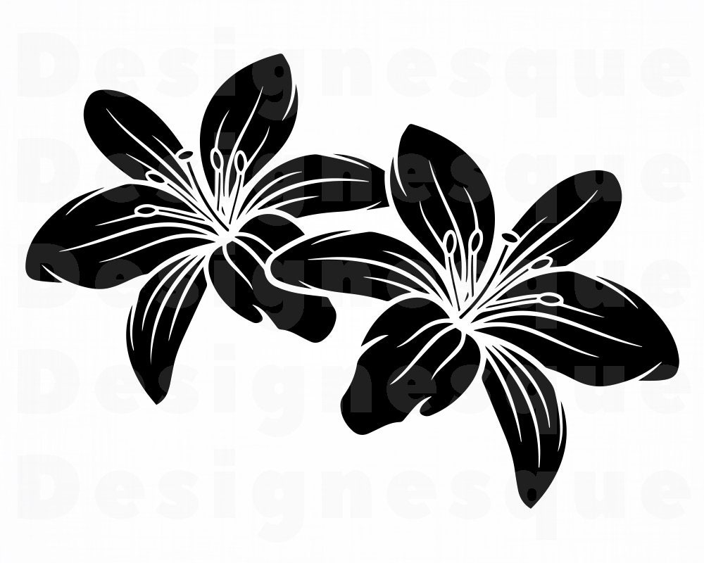 Lily Flowers SVG Lily Flower Svg Lily SVG Flower Svg Lily Etsy