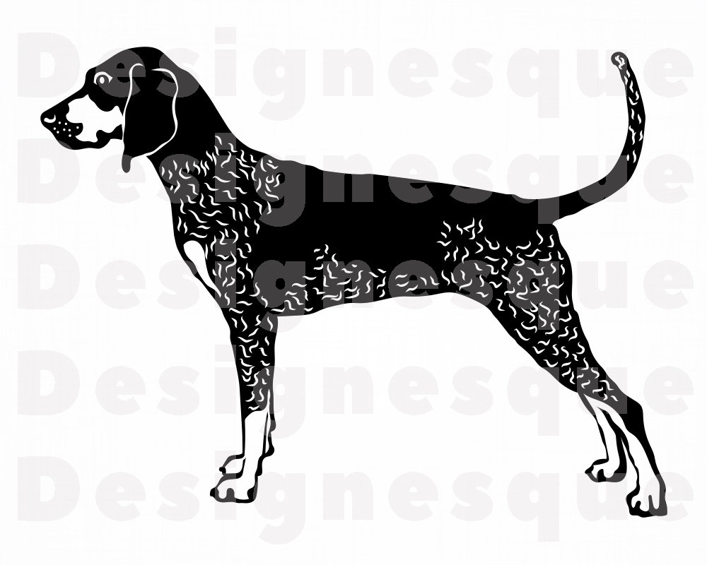 Bluetick Coonhound SVG Dog Svg Bluetick Coonhound Clipart | Etsy