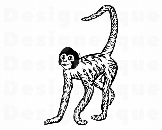 Download Spider Monkey Svg Monkey Svg Ape Svg Monkey Clipart Monkey Etsy