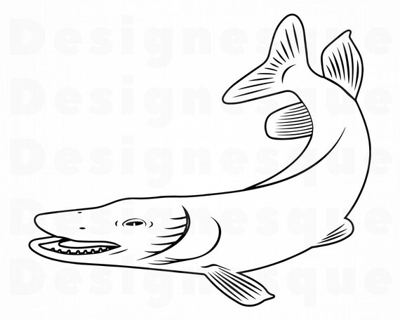 Download Fish Outline 2 Svg Fish Svg Fishing Svg Sea Bass Svg Fish Etsy